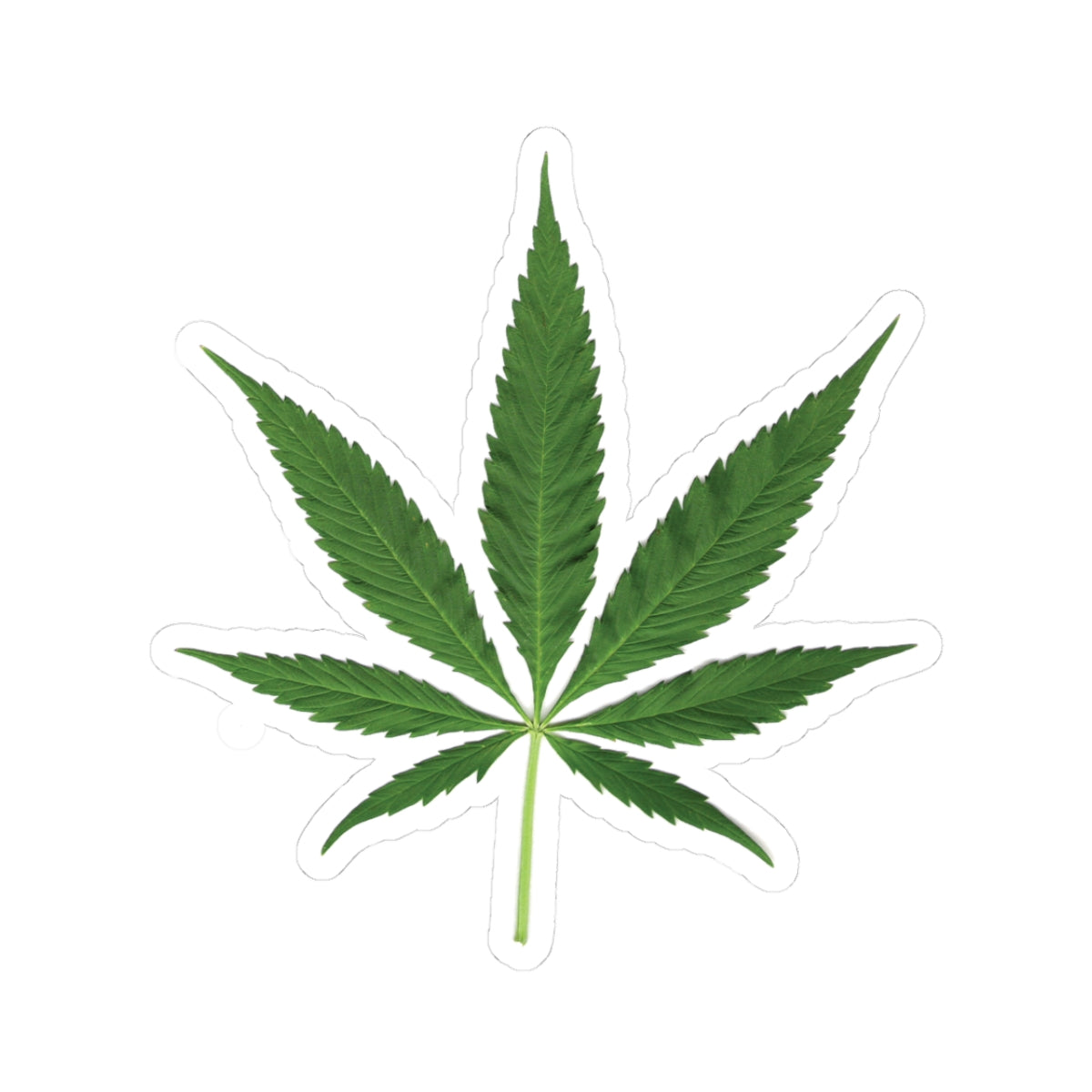 Pot Leaf Kiss-Cut Stickers