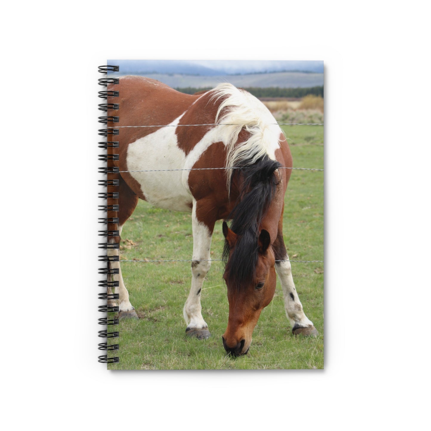 Grazing Horse Print Notebook